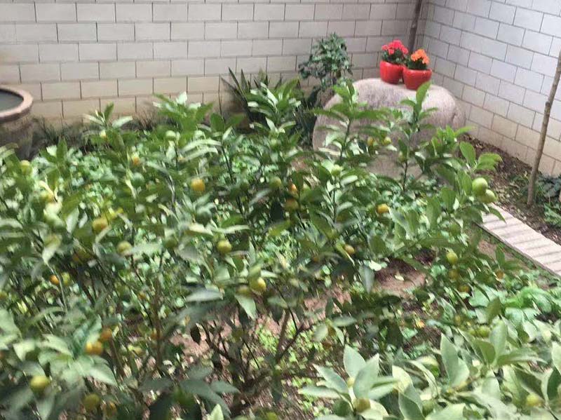 高园下小区